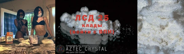 прущие крисы Верея