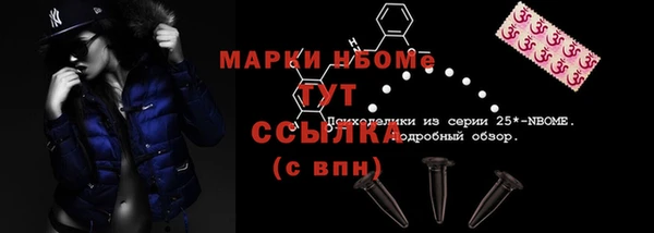 шишки Верхний Тагил