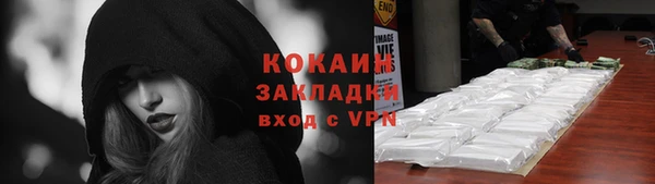 шишки Верхний Тагил