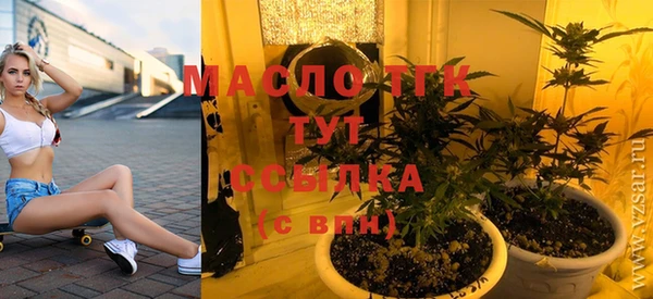 шишки Верхний Тагил