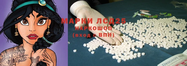 шишки Верхний Тагил