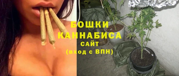 шишки Верхний Тагил